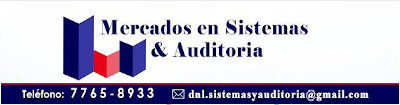 Mercado en Sistemas y Auditoria